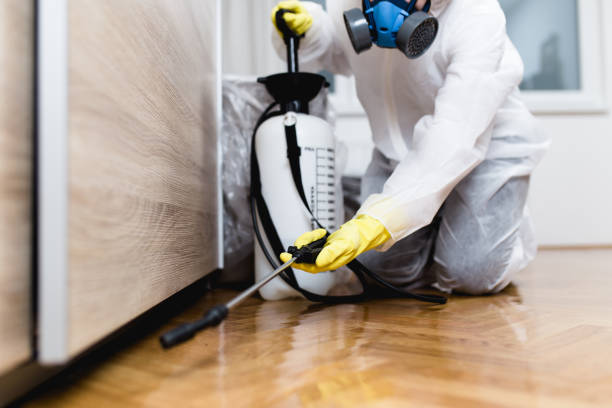 Flea Control Services in La Crosse, WI
