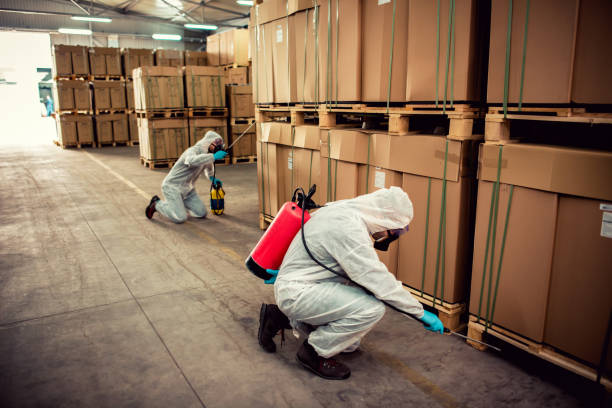 Best Flea Control Services  in La Crosse, WI