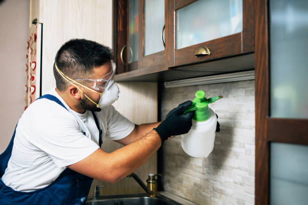 Best Affordable Pest Control Services  in La Crosse, WI