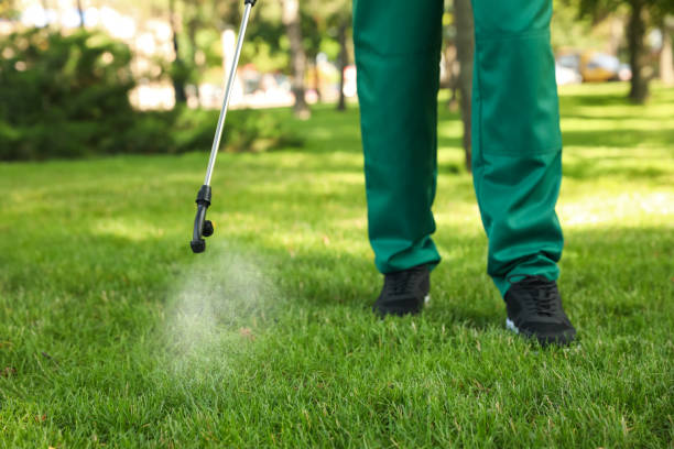 Best Pest Control Near Me in La Crosse, WI