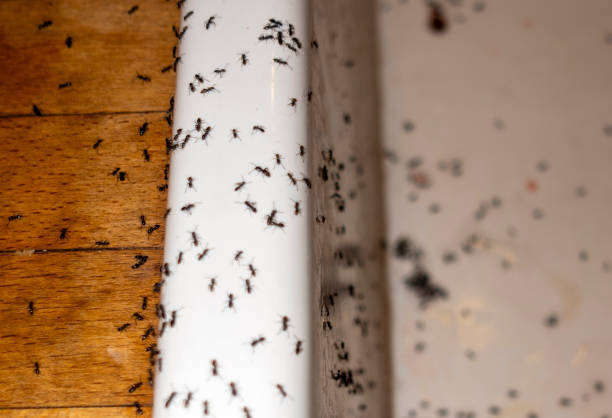 Best Wildlife Control Services  in La Crosse, WI