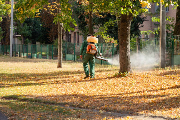 Best Emergency Pest Control  in La Crosse, WI