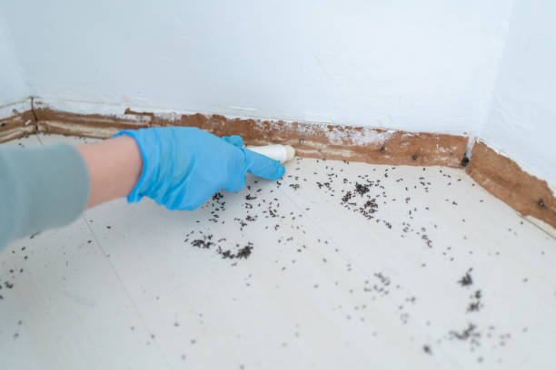 Pest Control for Restaurants in La Crosse, WI