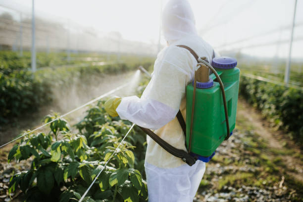 Best Rat Extermination Near Me  in La Crosse, WI